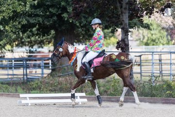 Bild 61 - Pony Akademie Turnier